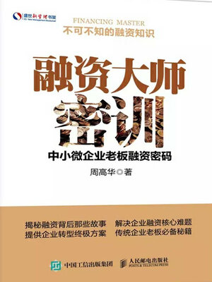 cover image of 融资大师密训：中小微企业老板融资密码